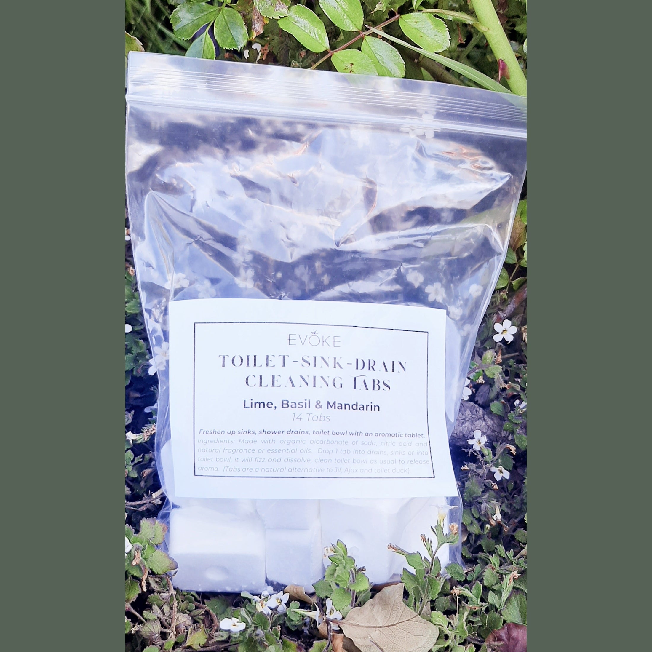 Drain Fresh Tabs - Lime, Basil & Mandarin